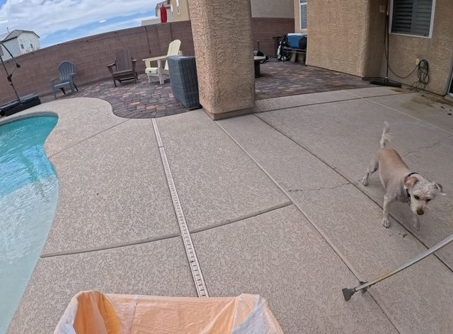A small tan dog walking the edge of a pool deck on a cloudy Las Vegas morning