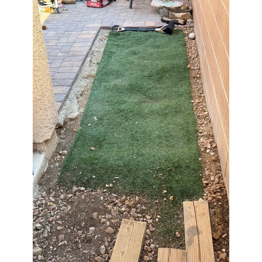 Connor's Las Vegas backyard after a Poop Scoop Dude visit, fully cleared and clean