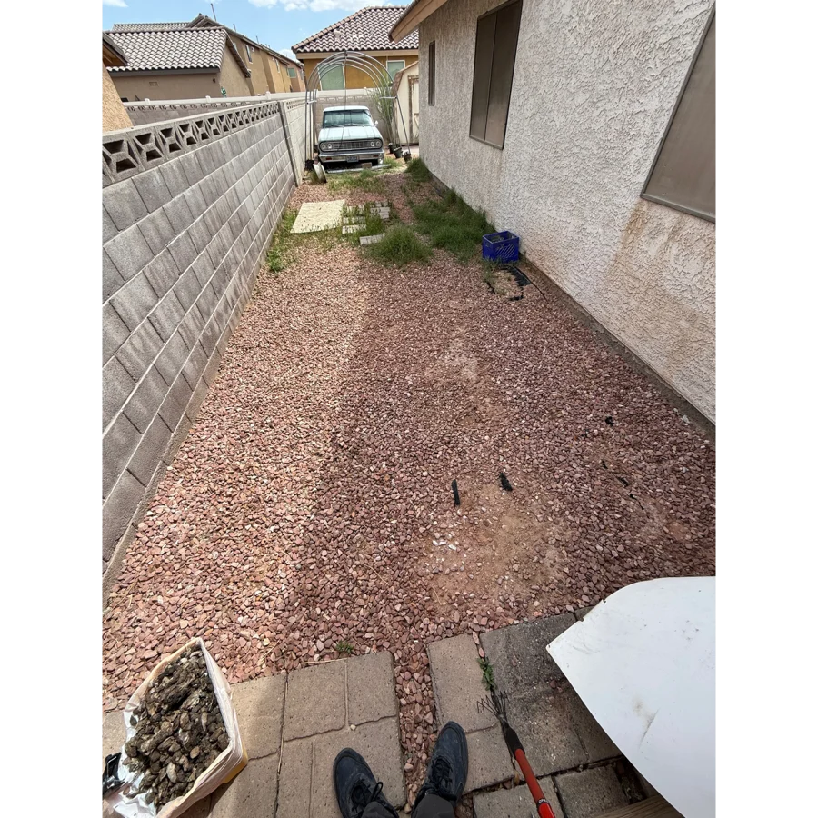 Heather's backyard after a Poop Scoop Dude visit, fully cleaned