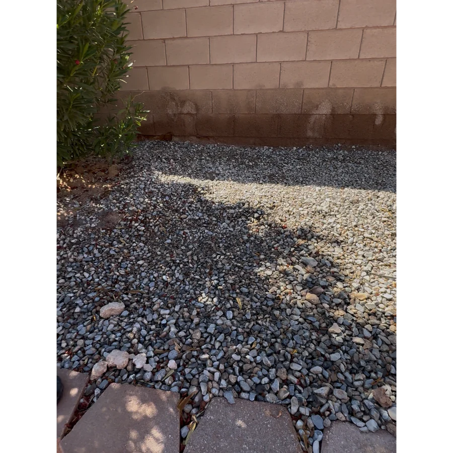 Lucky's backyard after a Poop Scoop Dude visit, fully scooped