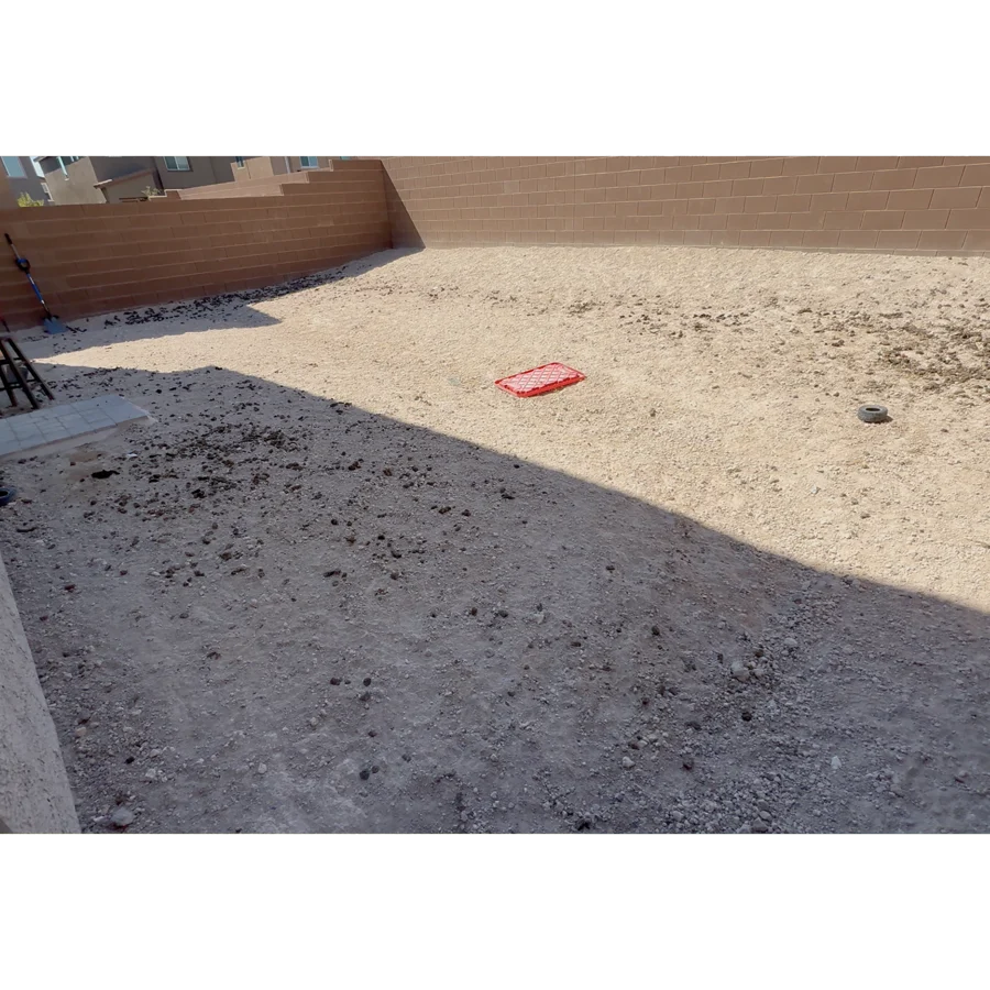 Anthony's backyard before service, with waste across the grass