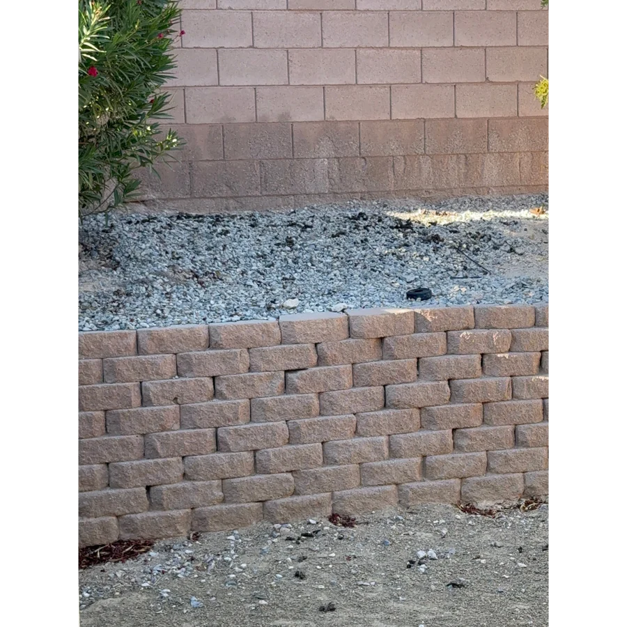 Lucky's backyard before service, with waste on the rock and grass