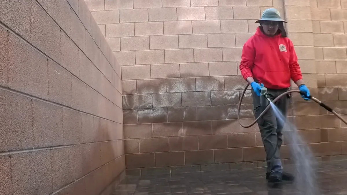 Treating a Las Vegas backyard patio surface after a pet waste cleanup
