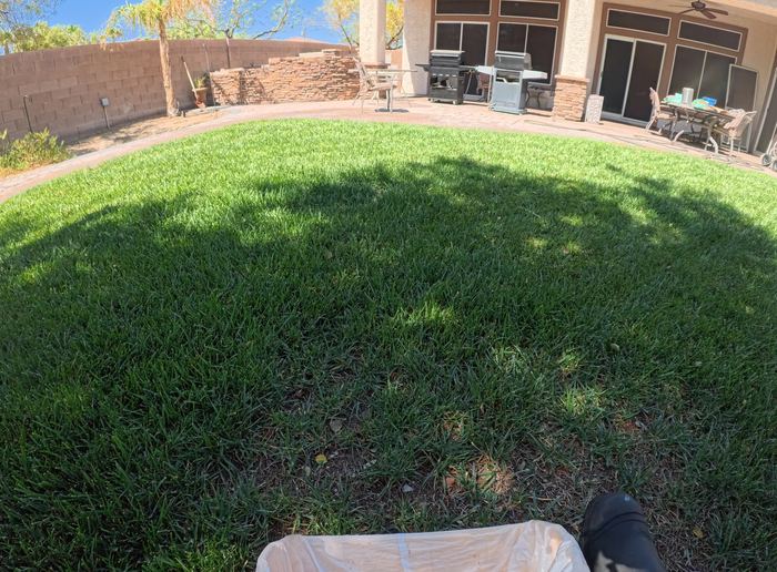 Clean Las Vegas yard after a Poop Scoop Dude visit