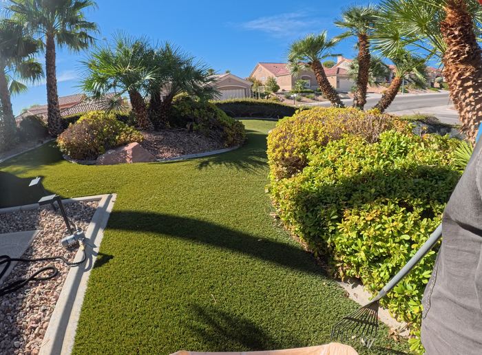 Clean Las Vegas yard after a Poop Scoop Dude visit