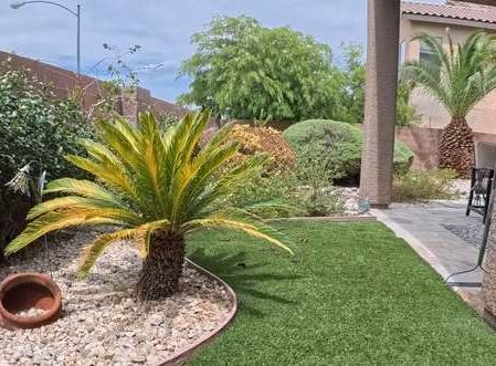 Clean Las Vegas yard after a Poop Scoop Dude visit