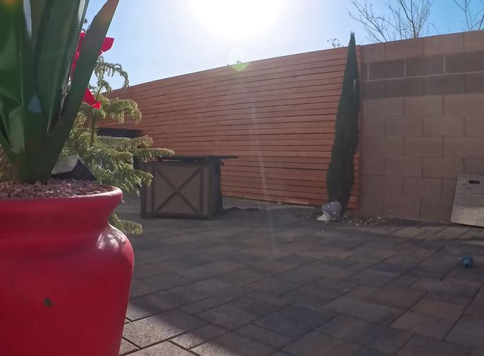 Clean Las Vegas yard after a Poop Scoop Dude visit