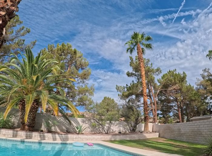 Clean Las Vegas yard after a Poop Scoop Dude visit