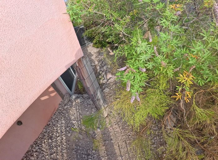 Clean Las Vegas yard after a Poop Scoop Dude visit