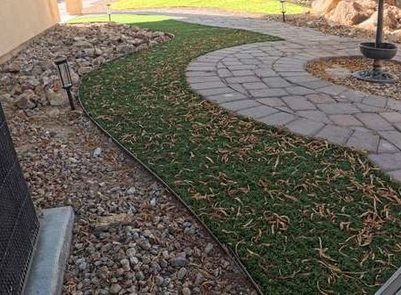 Clean Las Vegas yard after a Poop Scoop Dude visit