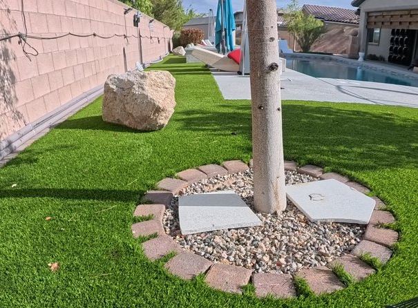 Clean Las Vegas yard after a Poop Scoop Dude visit