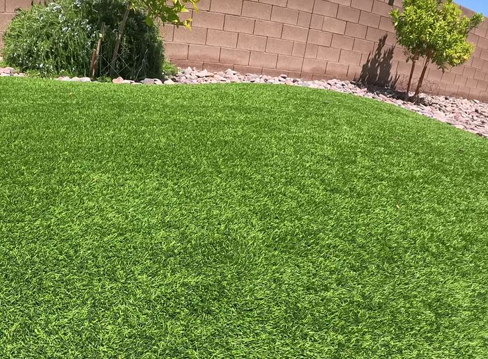 Clean Las Vegas yard after a Poop Scoop Dude visit