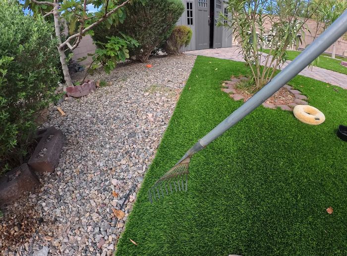 Clean Las Vegas yard after a Poop Scoop Dude visit