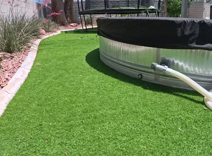 Clean Las Vegas yard after a Poop Scoop Dude visit
